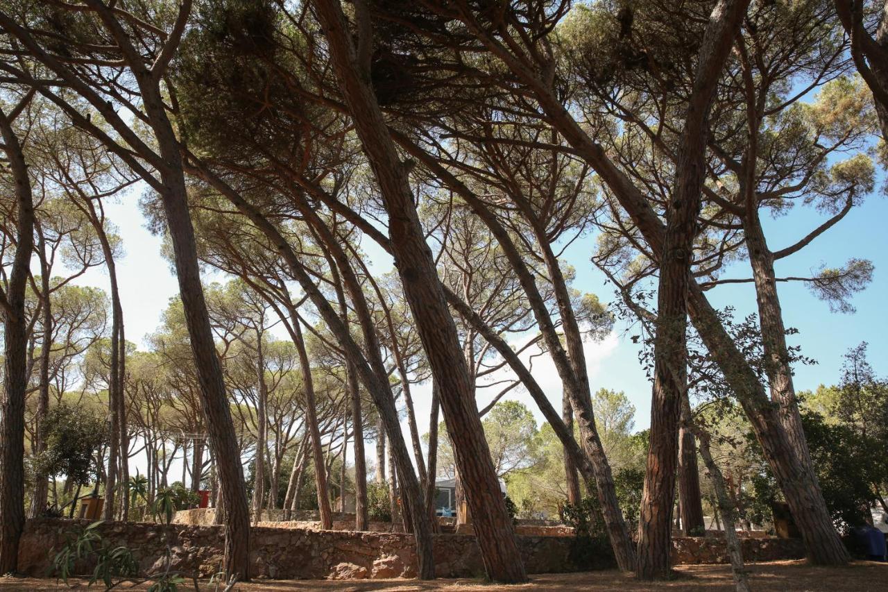 Camping 3 Estrellas Costa Brava Vall-Llobrega Zewnętrze zdjęcie